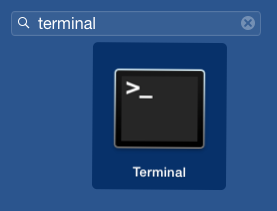 ../../_images/02-launchpad-terminal.png